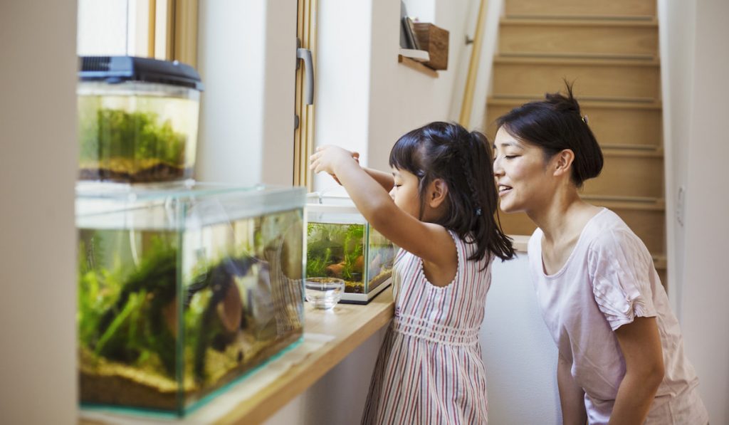 A mother and daughter feeding fish in the fish tank