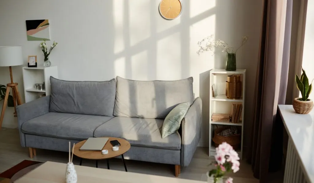 Background image of cozy living room interior with comfy velvet couch and minimal decor lit by sunlight,