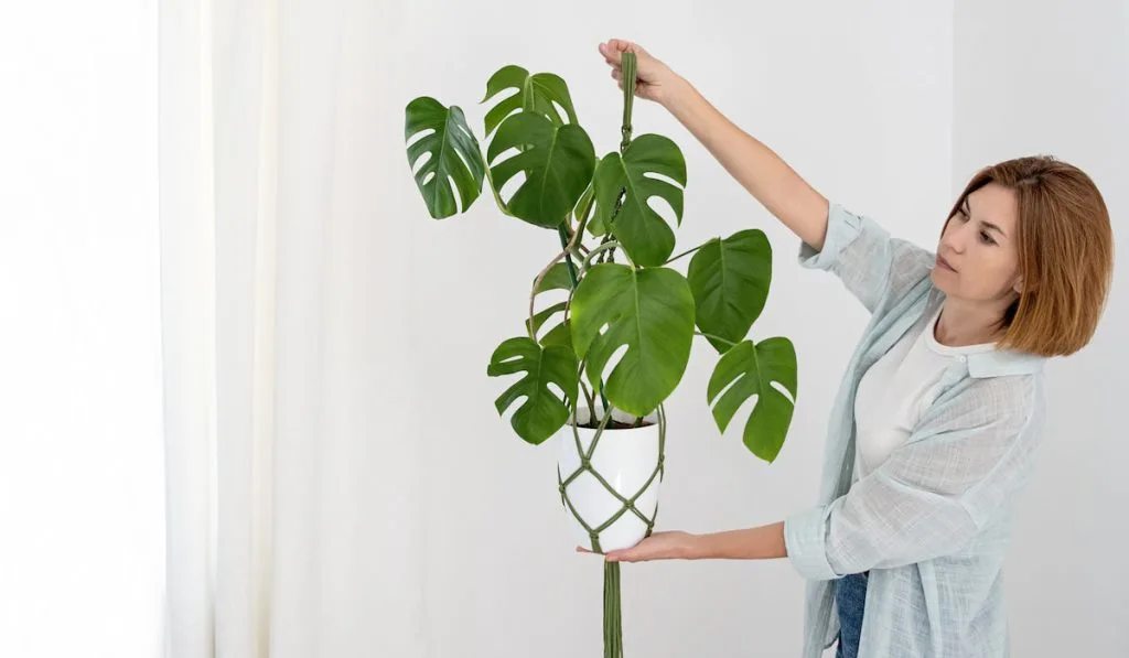Woman holding monstera plant with handmade macrame pot
