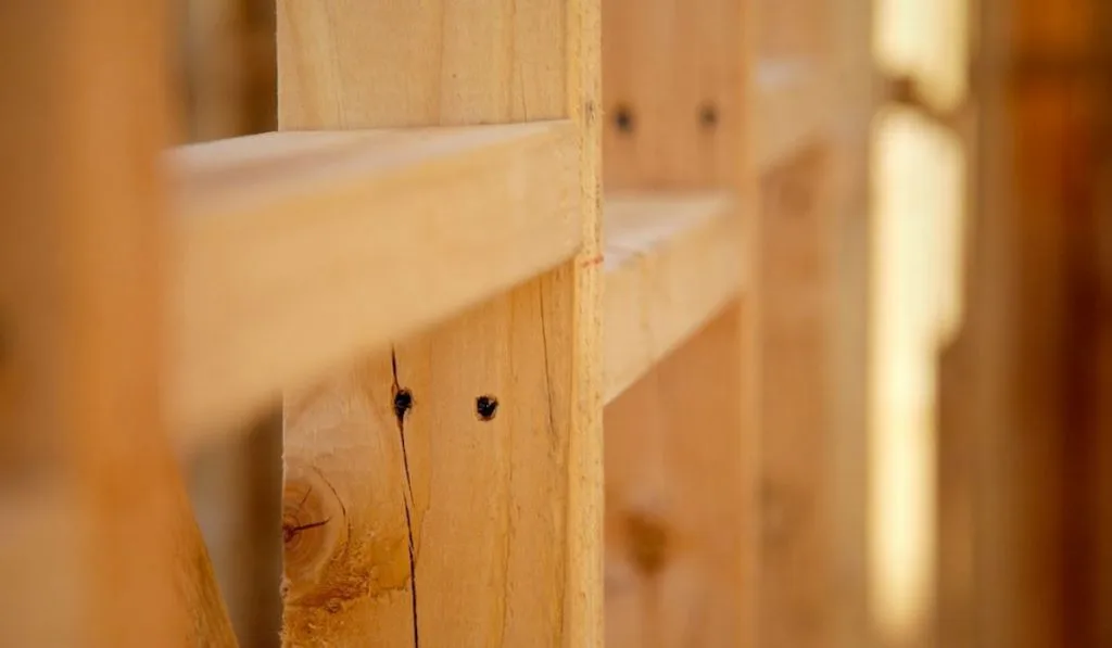 wooden wall stud