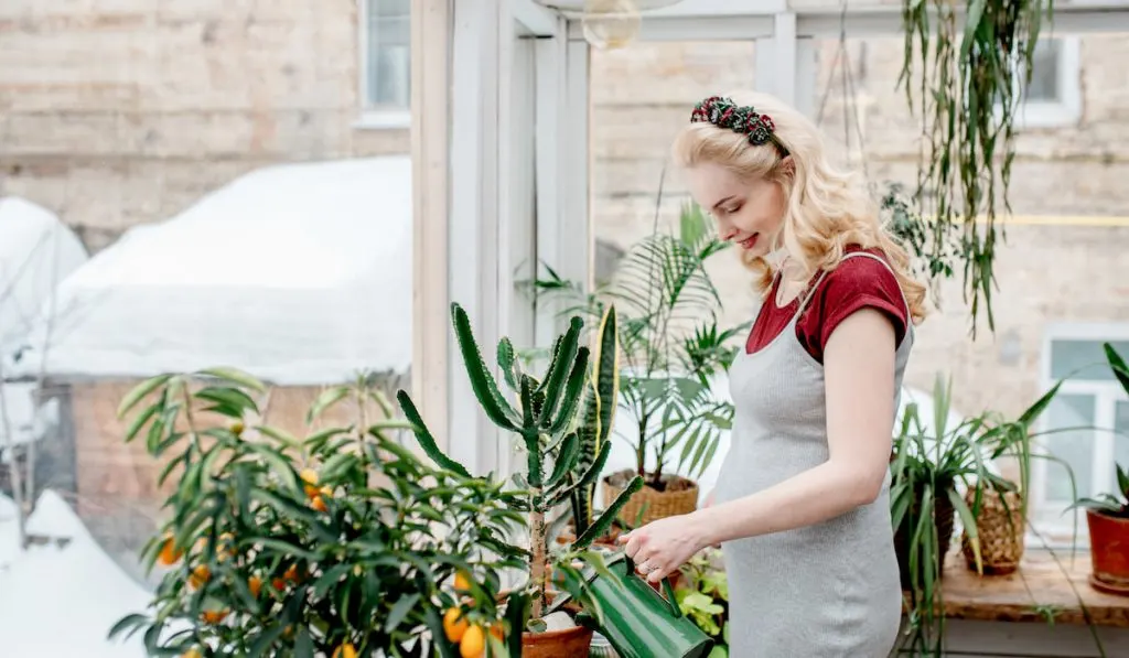 pregnant woman is watering plants